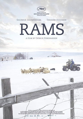Rams (EIFF) movie poster