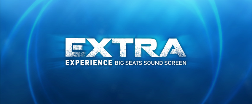 The Extra Experience  image