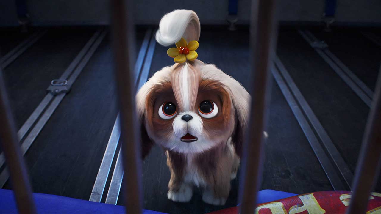 Secret Life Of Pets 2 The Showtimes Movie Tickets Trailers