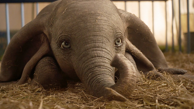 teaser image - Dumbo IMAX Trailer