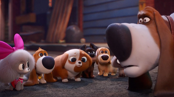 teaser image - The Secret Life Of Pets 2 Final Trailer