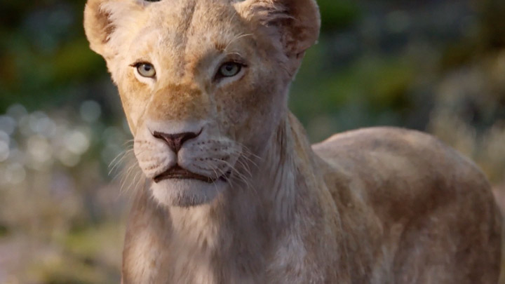teaser image - The Lion King Sneak Peek