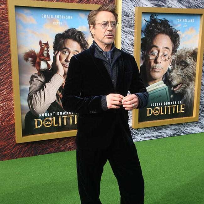 Robert Downey Jr. would love to have been Hawkeye 