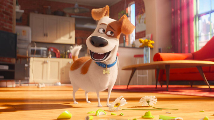 teaser image - The Secret Life Of Pets Trailer