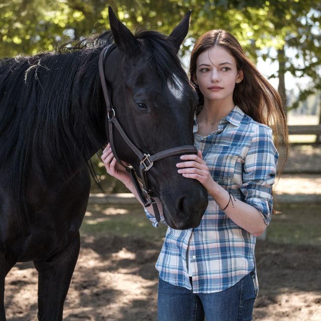 Kate Winslet's Black Beauty premiering on Disney Plus