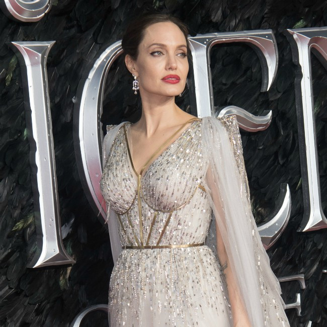Angelina Jolie to direct Unreasonable Behaviour