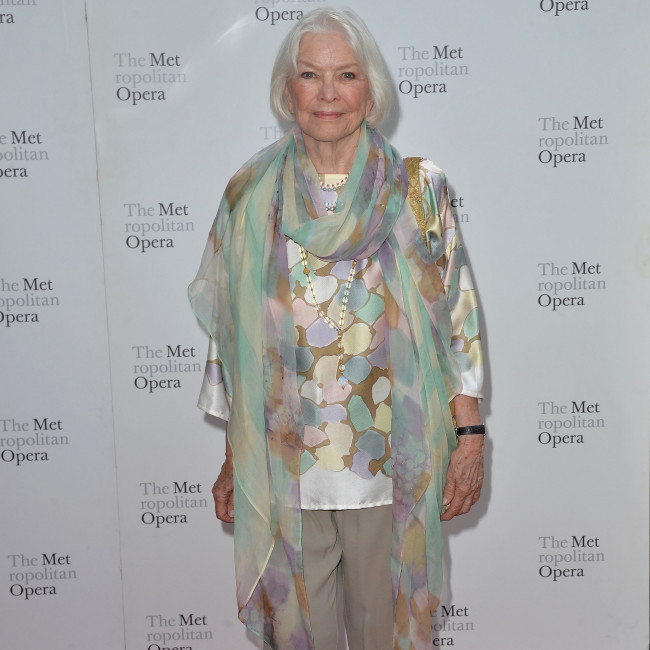 Ellen Burstyn 'never intended' to be a film star