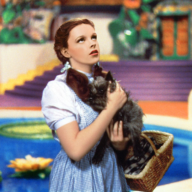 Wizard of Oz remake with Watchmen director Nicole Kassell