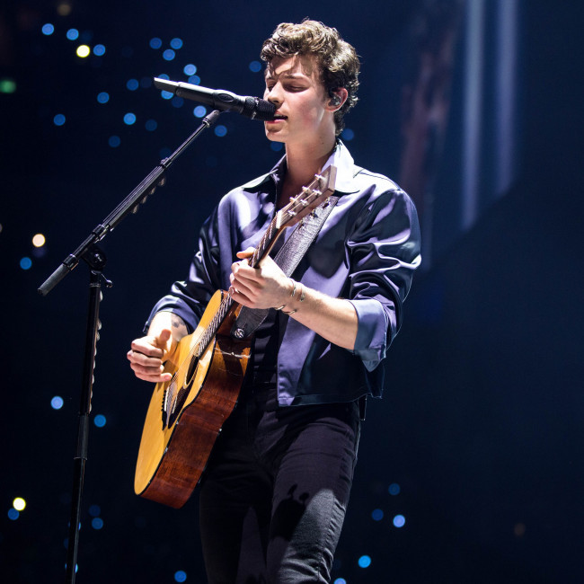 Shawn Mendes lands first major movie role