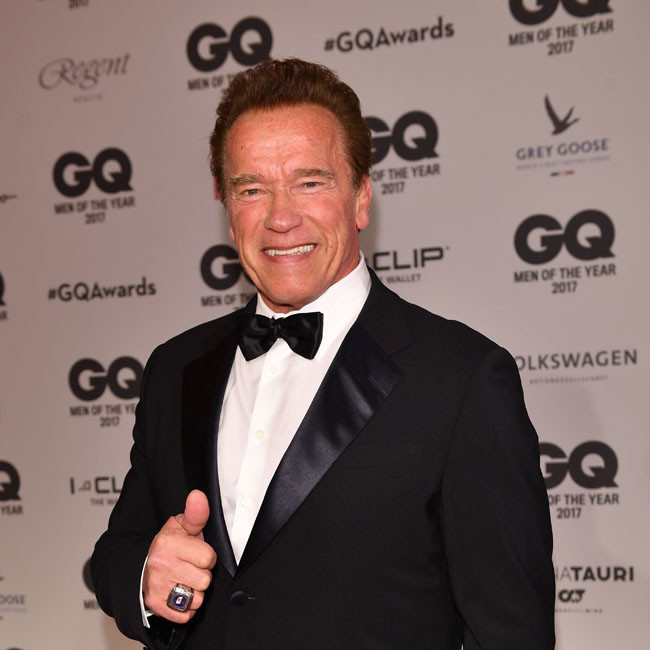 Arnold Schwarzenegger confirms Twins sequel will happen without Ivan Reitman