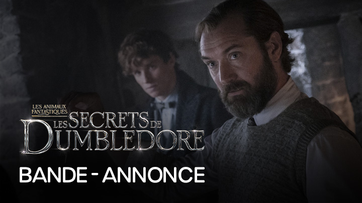 teaser image - Les Animaux Fantastiques : Les Secrets de Dumbledore Bande-annonce Officielle