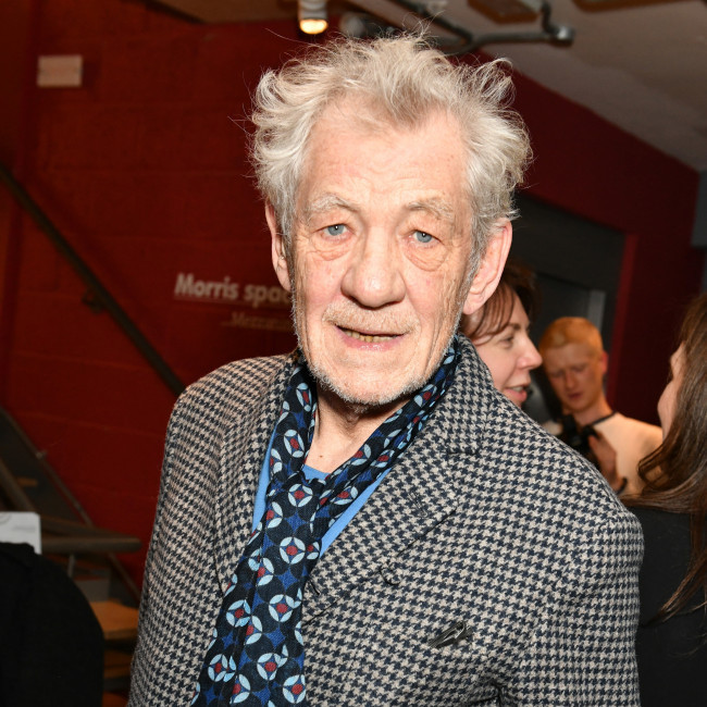 Ian McKellen cast in The Critic