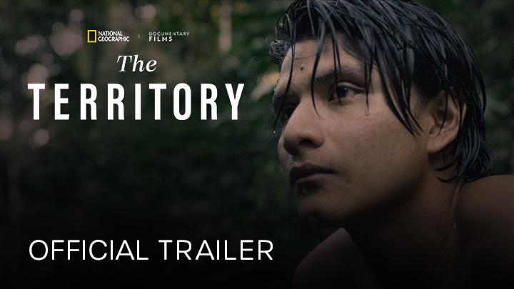 teaser image - The Territory Official Trailer