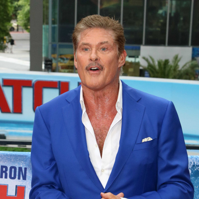 David Hasselhoff: Baywatch movie bombed everywhere but Germany