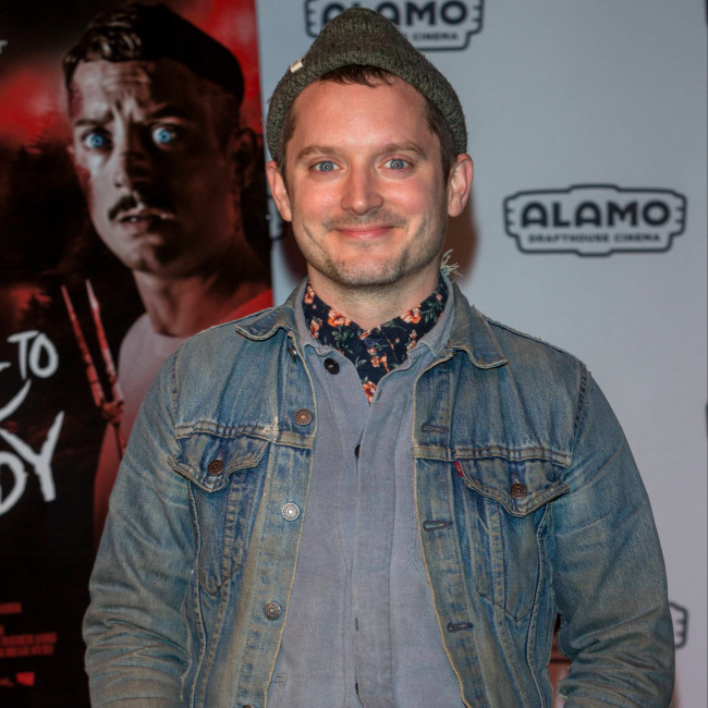 Elijah Wood's Lord of the Rings concerns