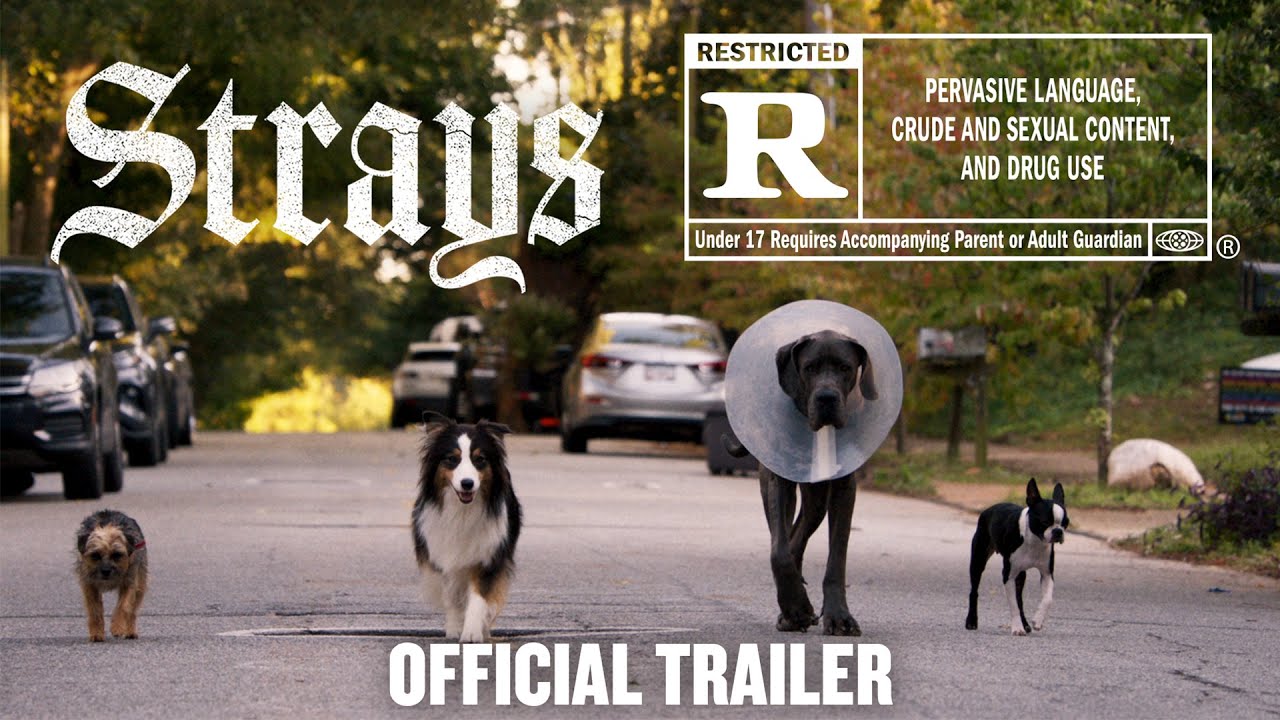 Strays Official Trailer Landmark Cinemas