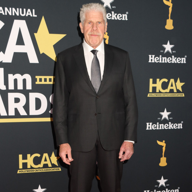 Ron Perlman and Rosanna Arquette cast in horror thriller Succubus