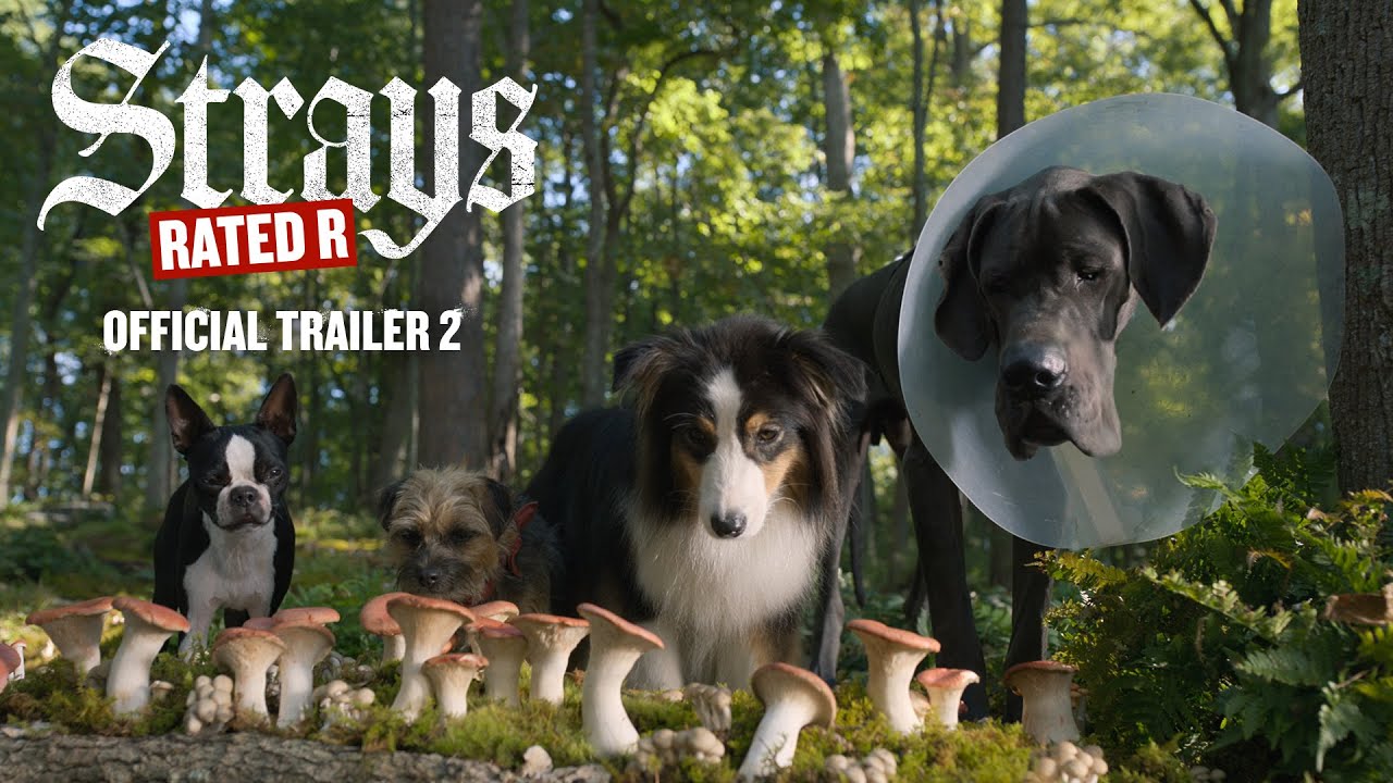 Strays Showtimes, Movie Tickets & Trailers Landmark Cinemas