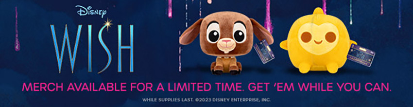 Wish Merchandise