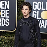 Timothée Chalamet would do a superhero movie for the right director and script