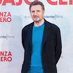 Liam Neeson cast in car chase movie Mongoose