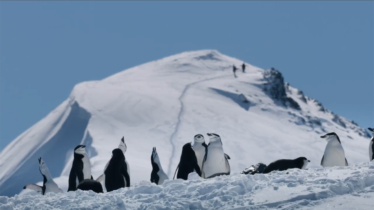 teaser image - STEM ON IMAX: Mountain Adventure: Out Of Bounds Official Trailer
