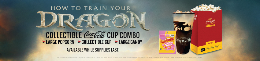 How to Train Your Dragon Collectible Cup Combo