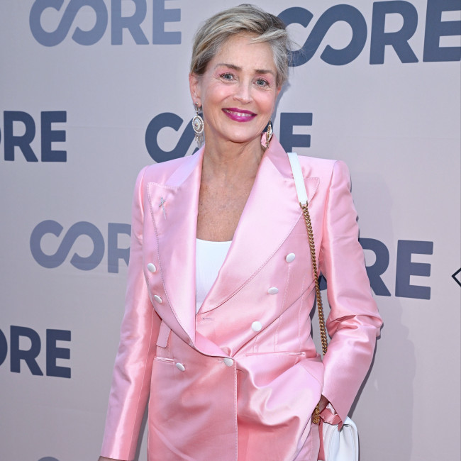 Sharon Stone doesn't understand why Basic Instinct is being remade