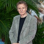Marisa Tomei: I’ve admired Liam Neeson for a long time